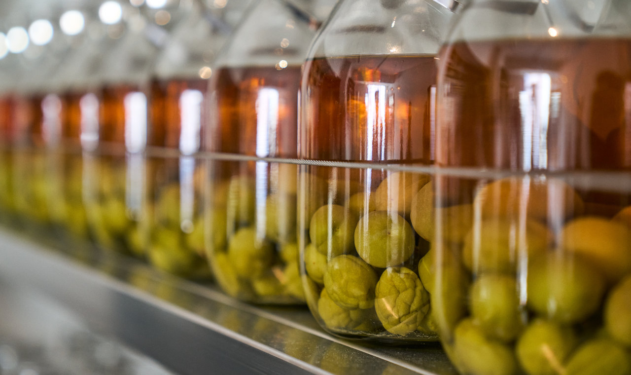 豊富な種類の食前酒。お食事に出かける前の一杯や待ち合わせ場所としてお気軽にご利用ください。